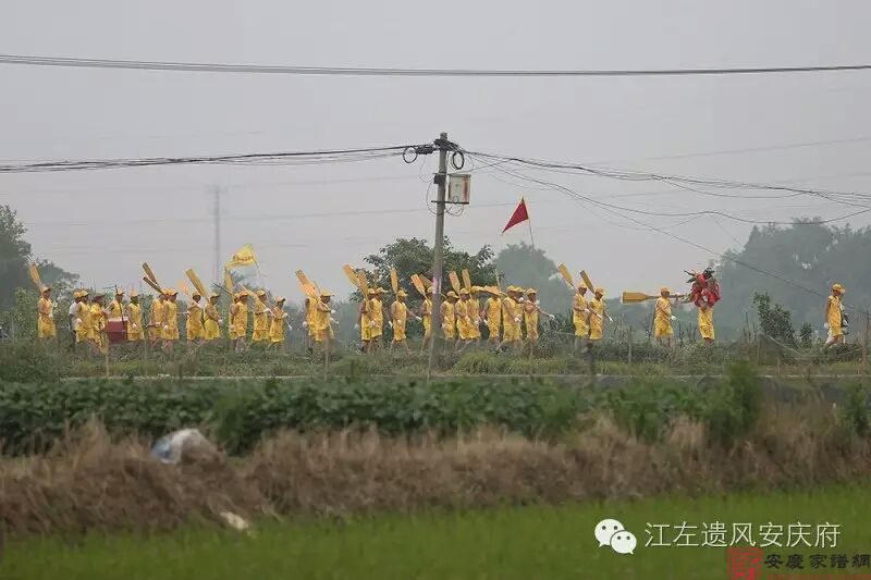 【陈东聚焦】五月五，白泽湖乡看龙舟