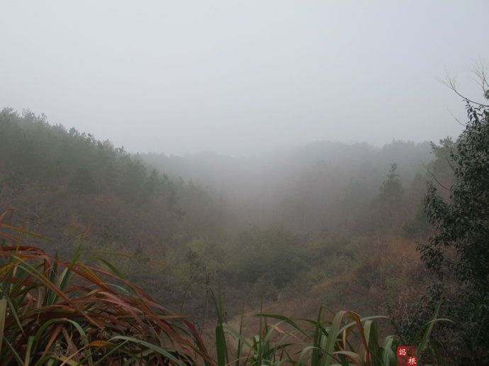 探寻山口的沈镐祖墓“叶里藏桃”
