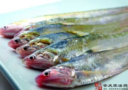 刀 鱼 之 美