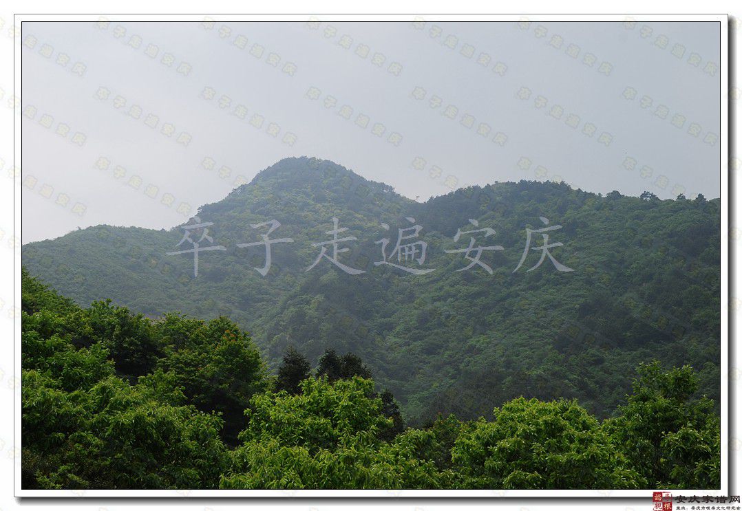 歧岭金鸡寨