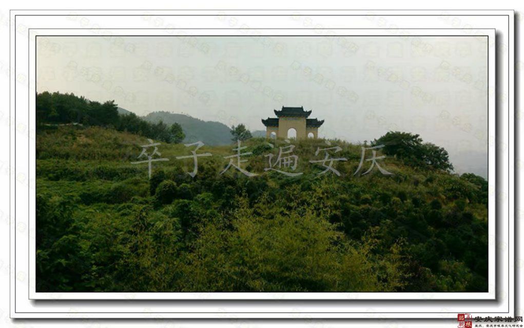 温桥龙池庵旧址