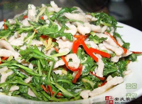 江南地儿菜         