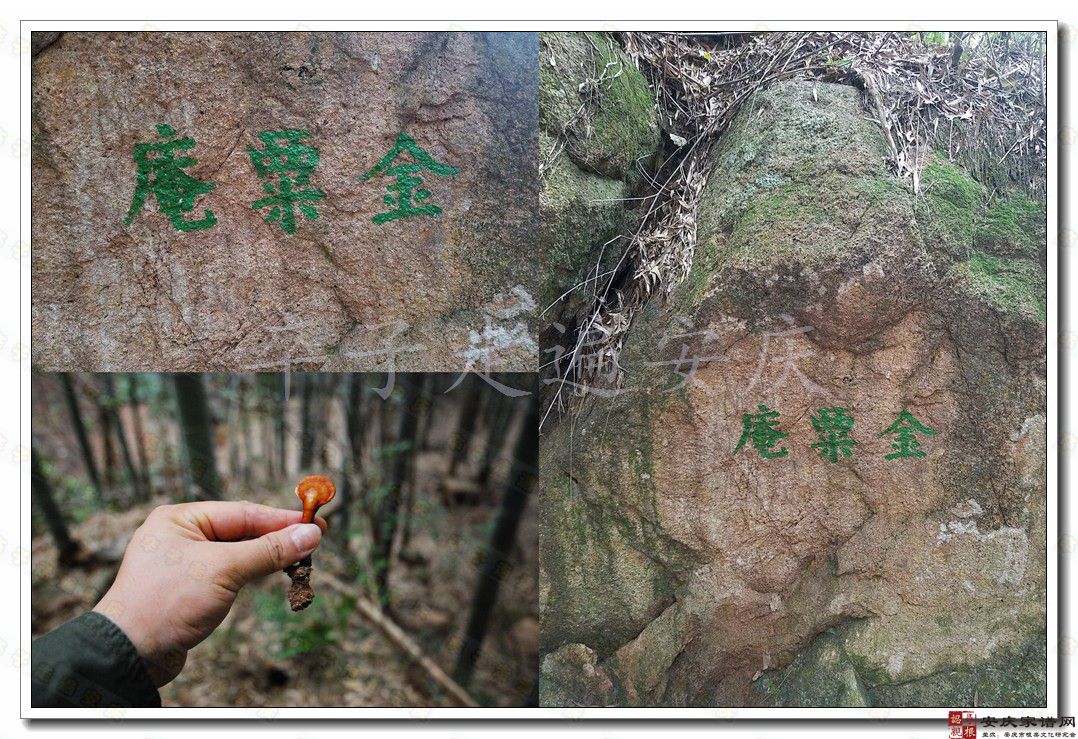 金粟庵石塔与古井