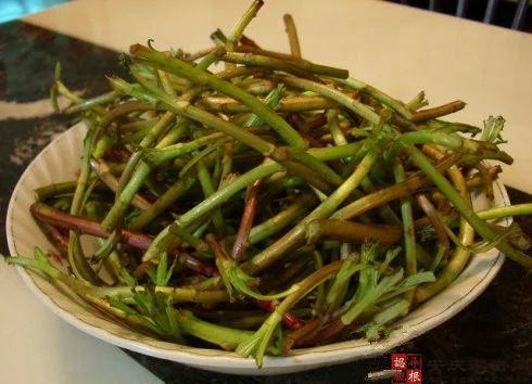 春蔬胜珍馐