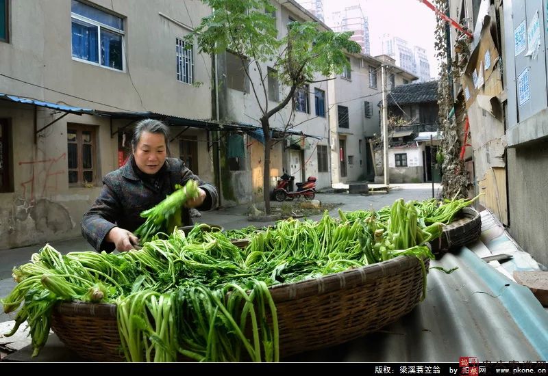 腌菜