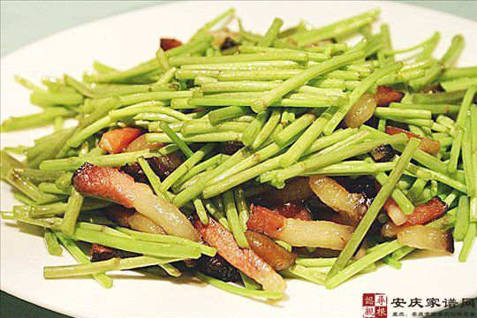 蒌蒿炒腊肉 野趣横生的一抹春色