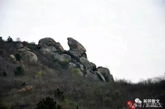 打不过东乡，文不过南乡