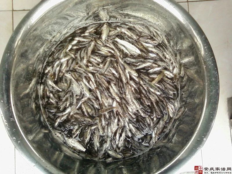 米汤小细鱼