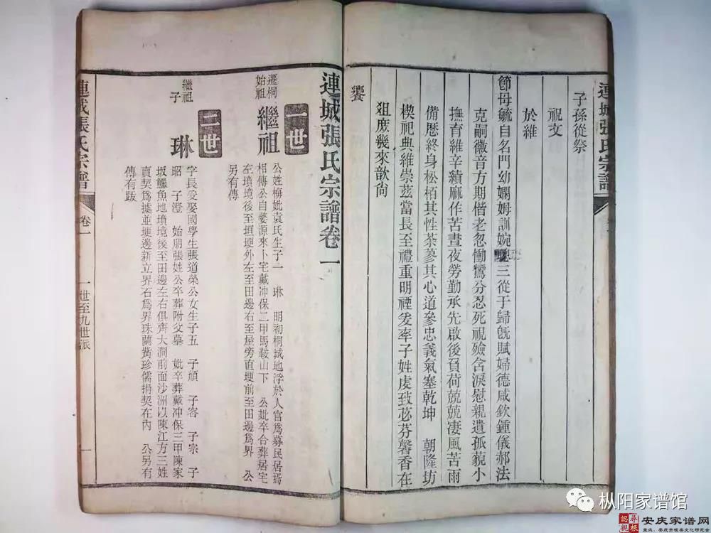连城张氏简介