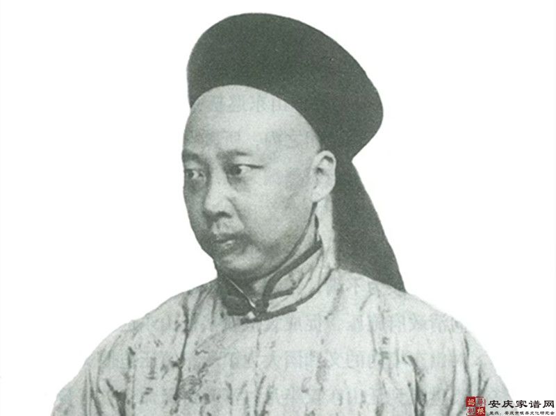 老安庆街头的猪