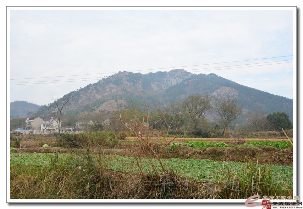 抱龙山