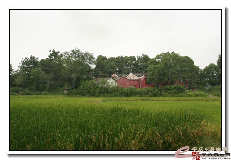 张河板门寺 