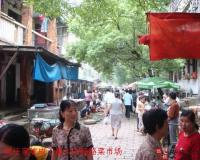 安庆老街旧巷—七十五： 沧桑任家坡和任氏宅第 （三）